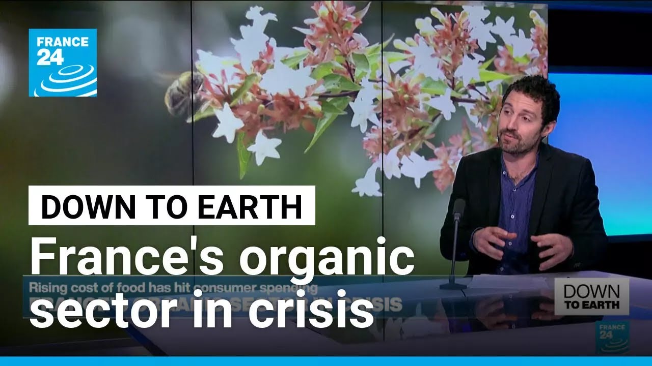 France's organic sector in crisis: Is the end in sight? • FRANCE 24 English