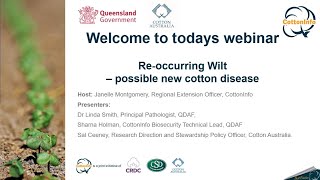 CottonInfo webinar: Reoccurring wilt