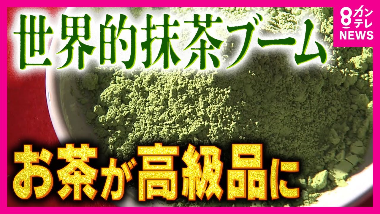 【抹茶大ピンチ】15分で売り切れ…外国人観光客が「抹茶爆買い」世界的ブームの陰で煎茶が値上がり　抹茶の葉の価格は5年間で3割程値上がり〈カンテレNEWS〉