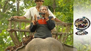 The Jungle Aphrodisiac 2004