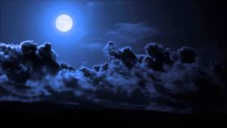 Roy Gates  Midnight Sun 20 martin Garrix Remix