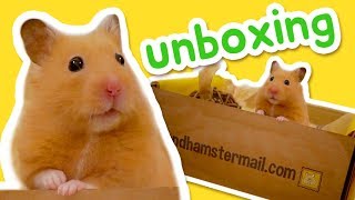 Hamster Mail Unboxing