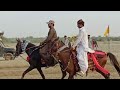 Horse riding  horse race  thar thak umerkot