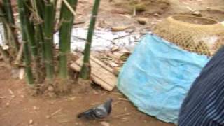 MVI_0896.AVI