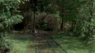 Dead man found in Henry County could be missing West Virginia 76-year-old, authorities say