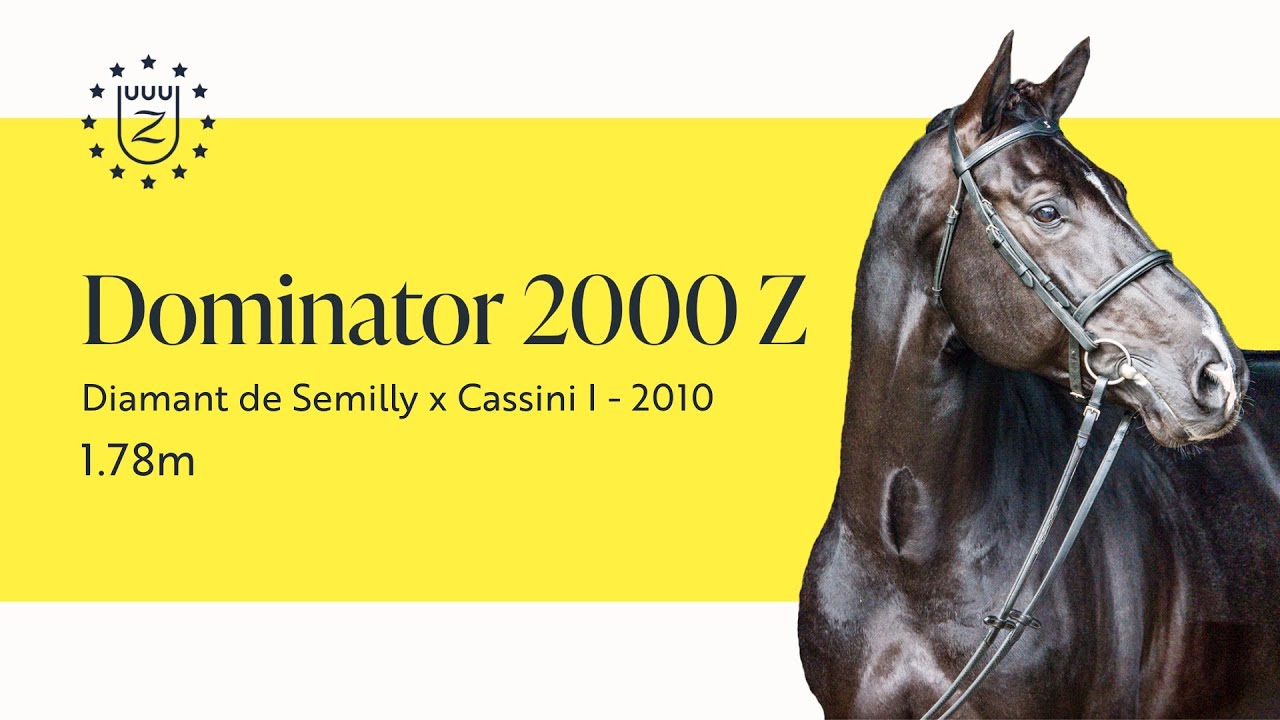 Elite Stallions - Stallion