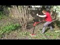 Using Mechanical Advantage to Remove a Stubborn Tree