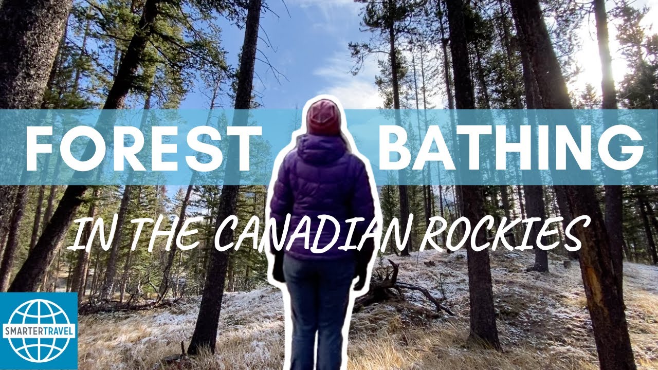 The Art of Shinrin Yoku: Forest Bathing in the Canadian Rockies ...