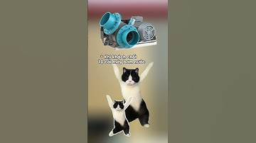 Em Chỉ Muốn Kêu Lên Là Ai Lớp Duuuu 😍 | Máy Bơm Nước Lưu Lượng Cao LH 0899.199.700