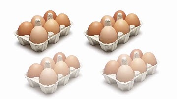 What is binary and hexadecimal?