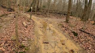 Trail Running at Odenton Natural Area - Odenton, MD