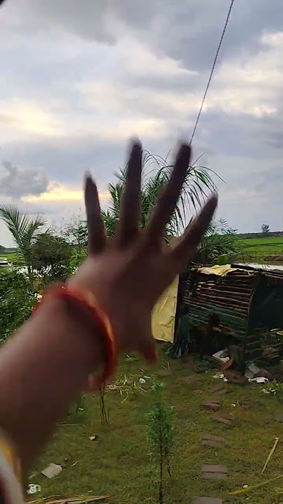 Niki is the most celebrity 🐕😤🐕😡🐕😵chihuahua in the world #p30069