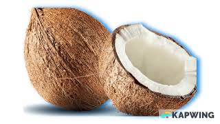 The Coconut Song! (Coconut Is A Nut)