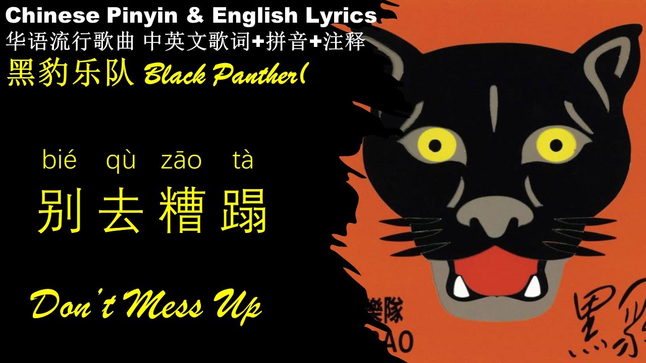 黑豹(窦唯)Black Panther Dou Wei《别去糟蹋Don't Mess Up》英文版拼音