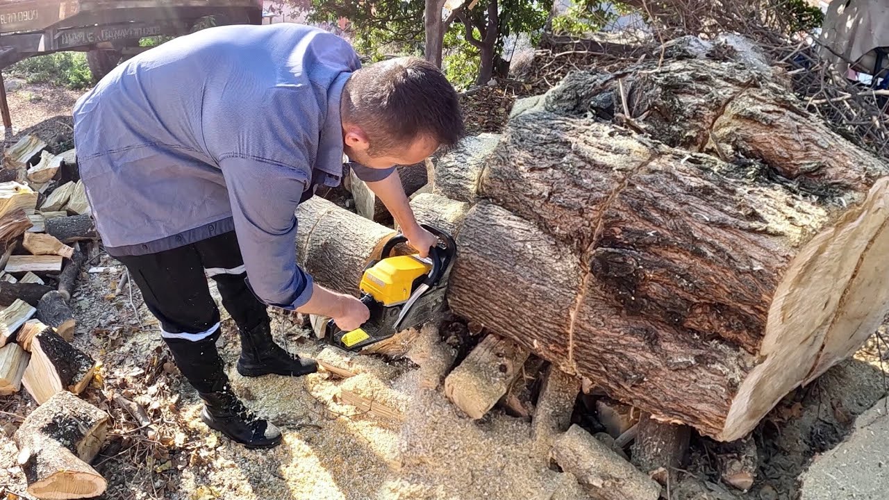 Çin Benzin Motorlu Testere Graizer 6200 Kalın Ağaç Kesimi