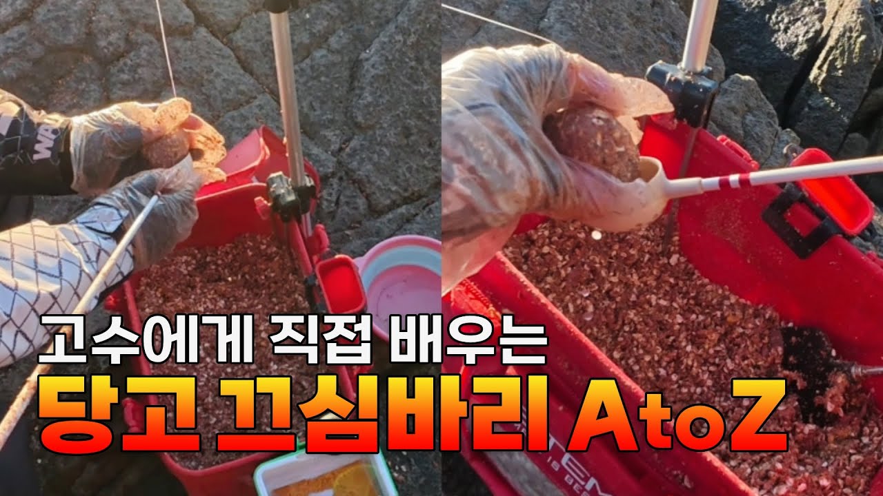 당고 끄심바리낚시 전문가가 직접 알려준 방법으로 감성돔을 잡아보겠습니다! (feat.엄똥)