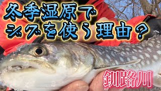 リバージギングのススメ👍【KUSHIRO River】釧路川細岡