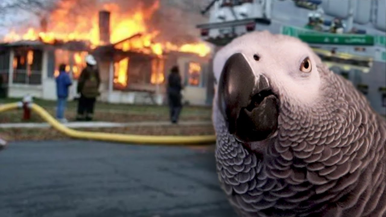 He Won’t Stop Saying "Fire"