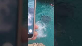 Cliff jump in Negril, Jamaica 🇯🇲 mon! Just Did it, didn't think about it! #vacationadventures