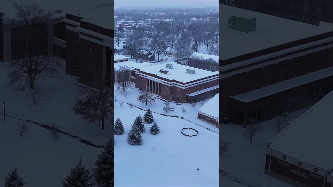 Tiger’s love the snow!🐅 