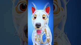 1️⃣ What If a Dog’s Sense of Smell Became as Weak as Humans?