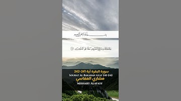سورة البقرة آية 241-242 Sourah al Bakarah Ayat 241-242 #quran