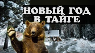 Хозяева тайги. Встречаем новый год В ТАЙГЕ! ОХОТА НА МЕДВЕДЯ Хозяева тайги. Встречаем новый год В ТАЙГЕ! ОХОТА НА МЕДВЕДЯ