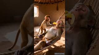 httpsvkuaishoucomjks5z3i1 