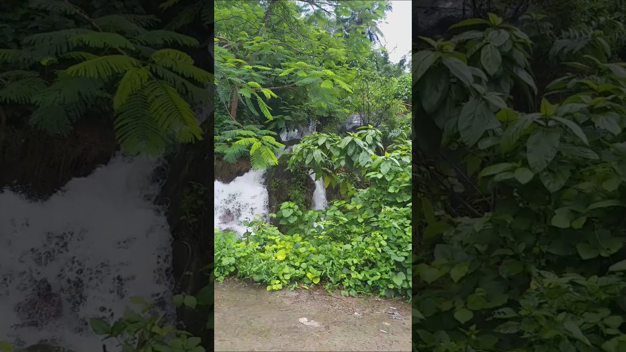 Thenmala eco tourism punalur ✨ one day trip❣️