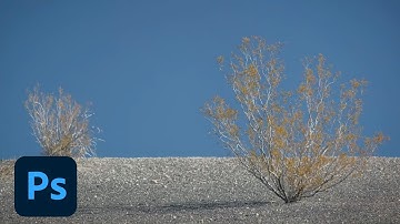 5 Ways to Soften the Edge of a Selection | Adobe Photoshop