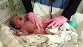 Famous Our Baby Boy First 24 hour Net Worth