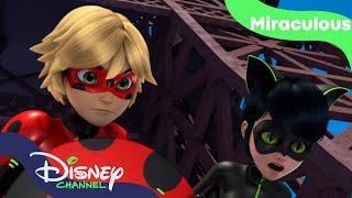 Ladybug og Cat Noir har byttet kræfter | Miraculous | Disney Channel Danmark