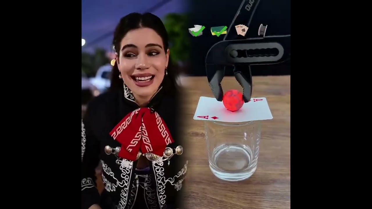 Videos Graciosos 2025 | Colección Completa(@glenda)