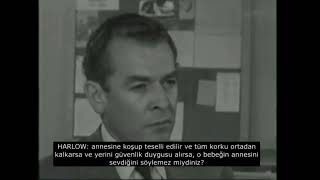 Harlowun Maymun Deneyi