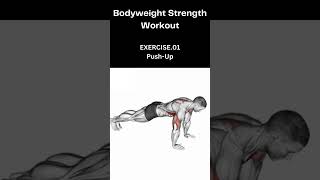 Perfect Push-Up Tutorial in 30 Seconds    #absworkout #motivation #strongabs