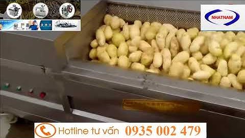 Máy rửa củ gừng nghệ, máy gọt vỏ khoai tây, máy rửa nông sản. LH : 0935295396