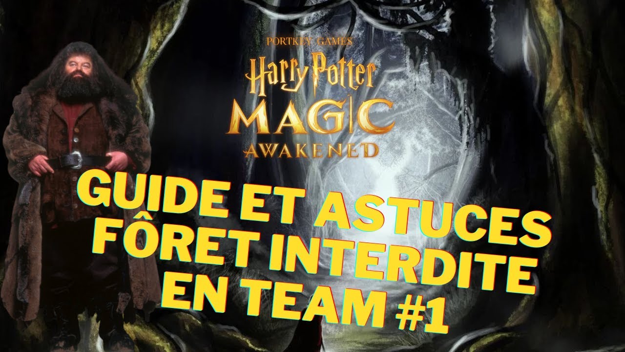 Guide forêt interdite en team 1 [Harry Potter la magie