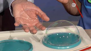 Exploring Bubble Science with the Curious Crew