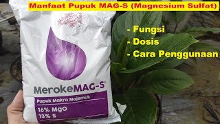 Benefits of Meroke MAG-S / Magnesium Sulfate Fertilizer for Plants | So that the Plants are Fertile