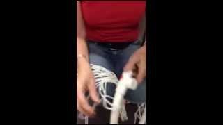 Famous Net Assembly: Option 1 Profile