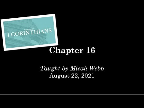 Video preview