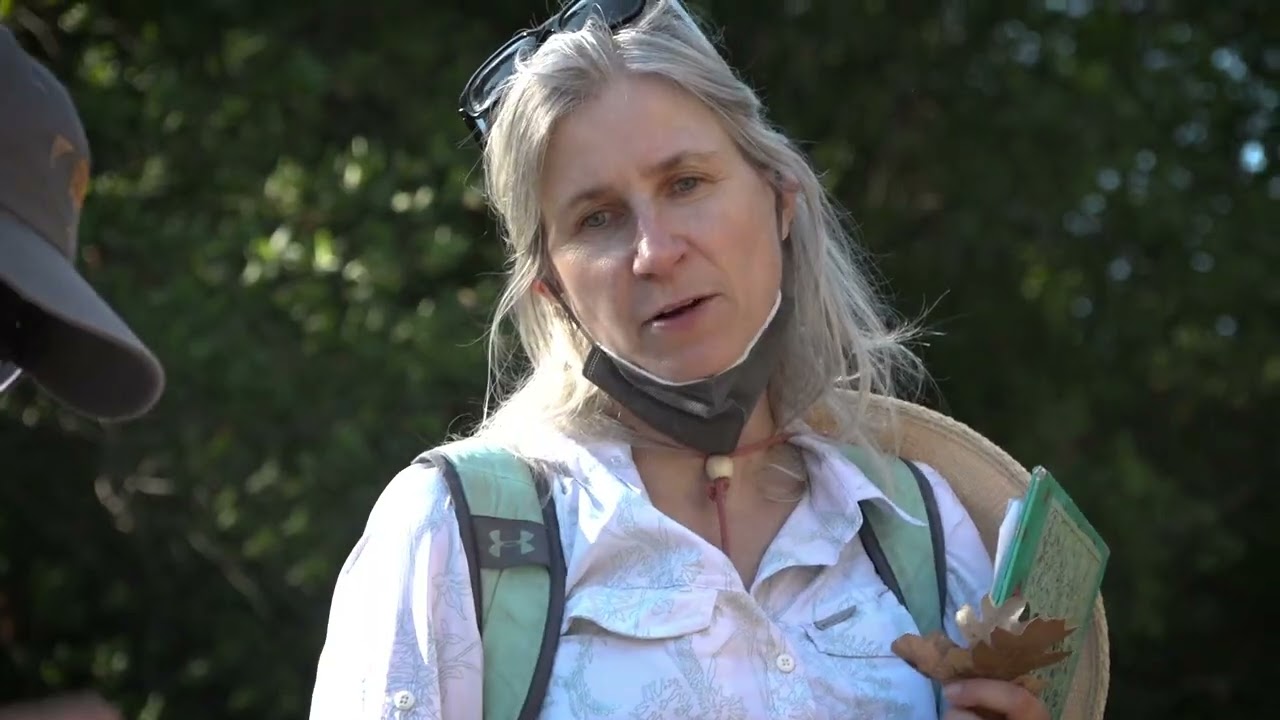 Bay Area Bountiful:  California Native Plants