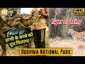 Dudhwa national park safari incredible wildlife moments caught on camera