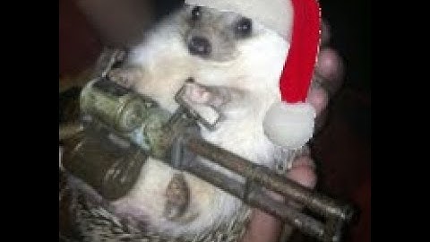 (Segmented TAS) kz_slide_rovod, kz_nymph and kz_slidebober