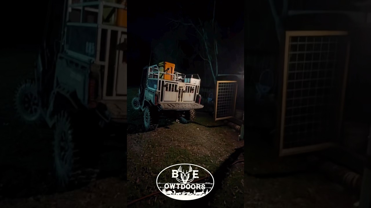 Работа только начинается, когда охотник с собаками возвращается домой! 🤝🏾