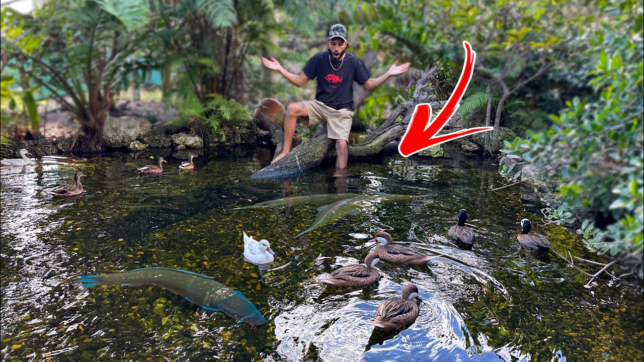 Look At What We FOUND?!