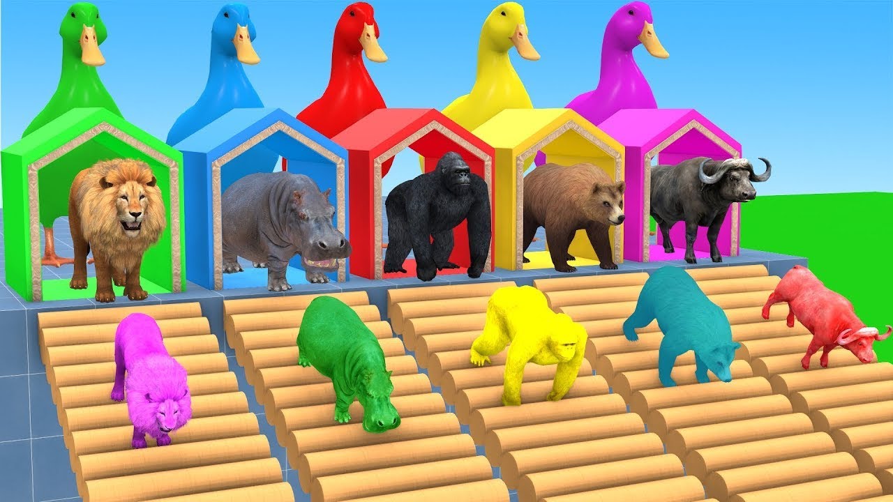 Long Slide Game With Cow Elephant Gorilla Hippopotamus Tiger 3d Animal Game Funny 3d Animals