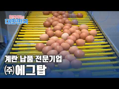 함께 뛰는 대한민국 – ㈜에그탑 / YTN 사이언스