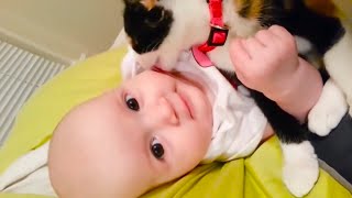 Cats Meeting Babies for the FIRST Time [NEW] Compilation by Raining Queen 24,636 views 3 years ago 14 minutes, 20 seconds