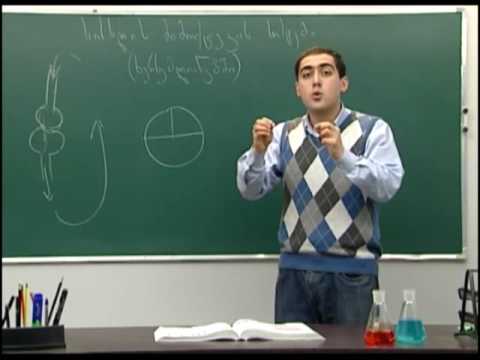 სისხლის მიმოქცევის სისტემა ხერხემლიანებში